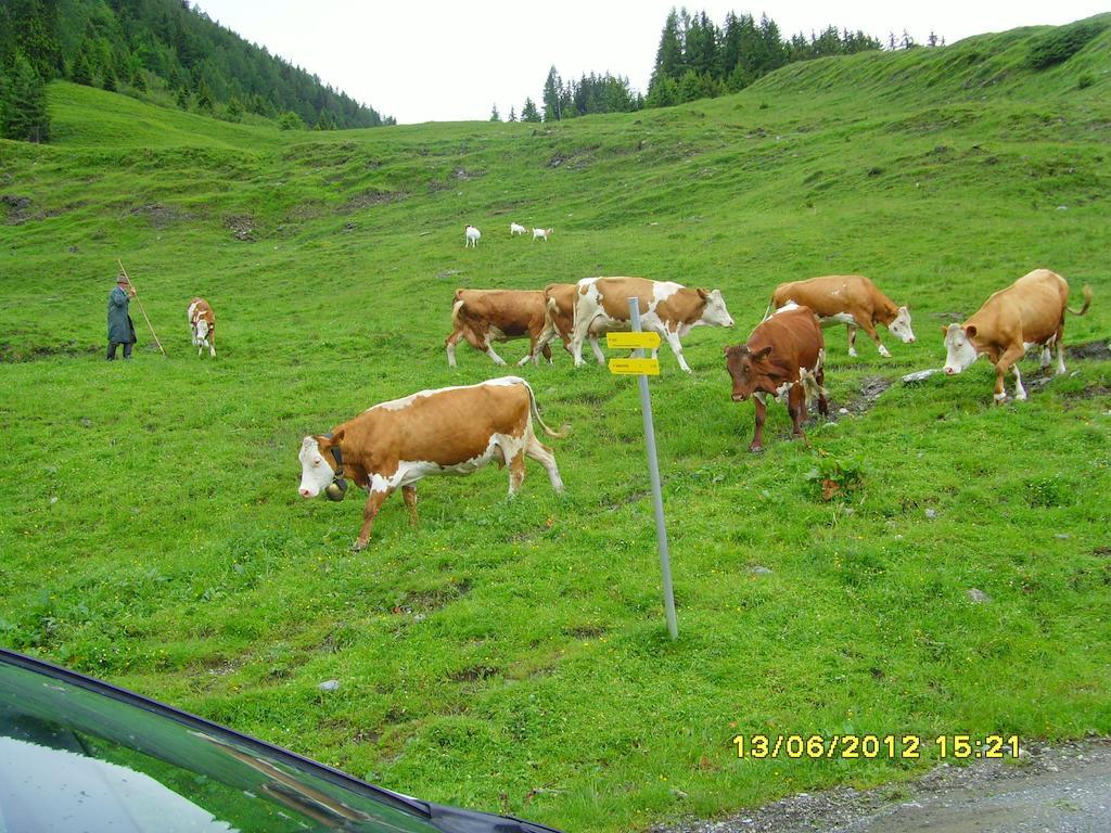 Feriendorf Ponyhof Fusch an der Grossglocknerstrasse Екстериор снимка